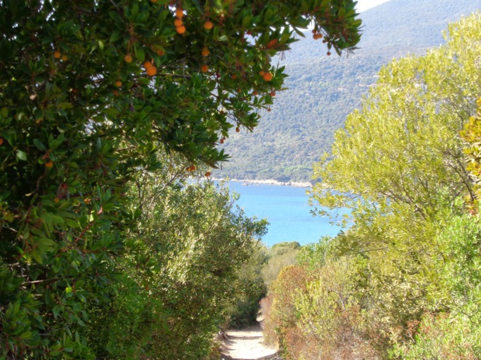 Chemin des douaniers